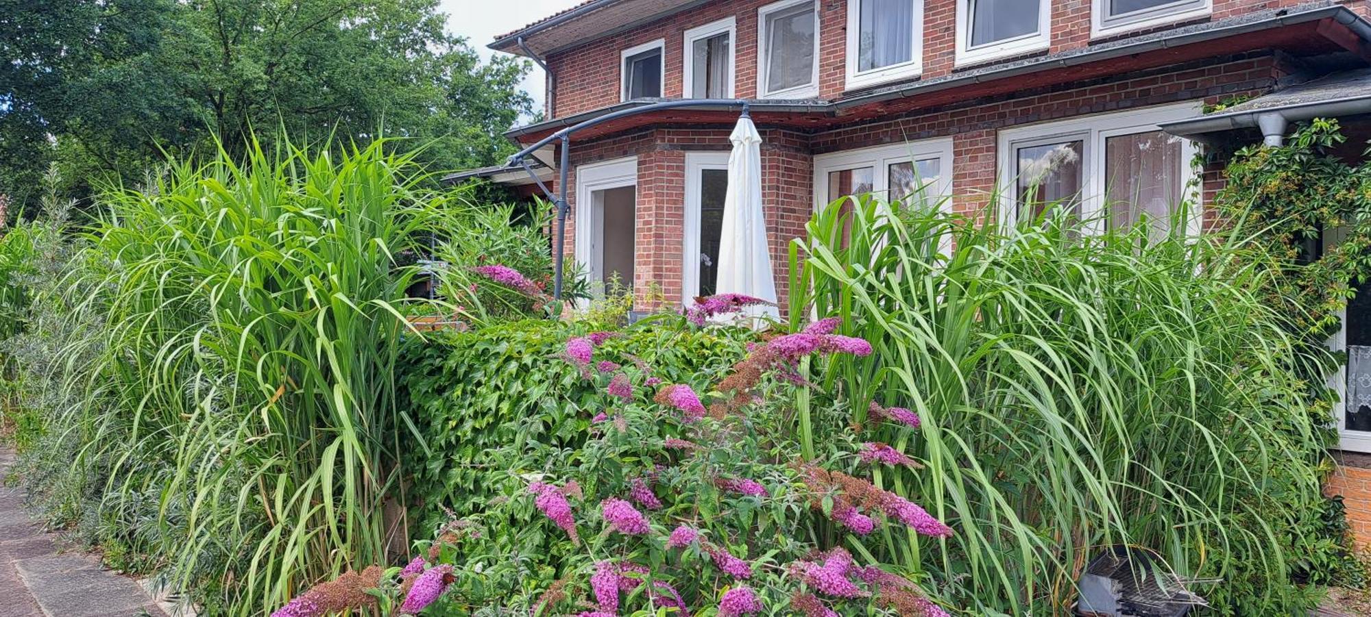 Schillers Landhaus Neu Darchau Extérieur photo